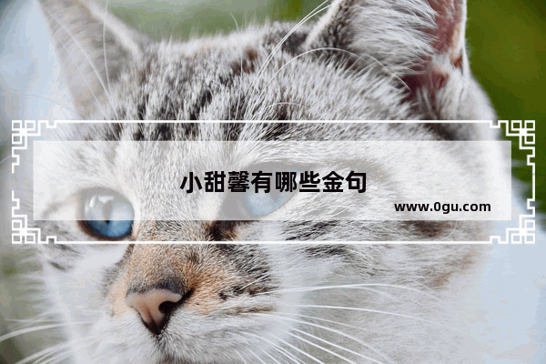 小甜馨有哪些金句