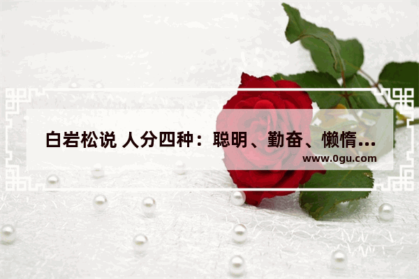白岩松说 人分四种：聪明、勤奋、懒惰、愚蠢 最可怕的是愚蠢＋勤奋的人 你怎么看