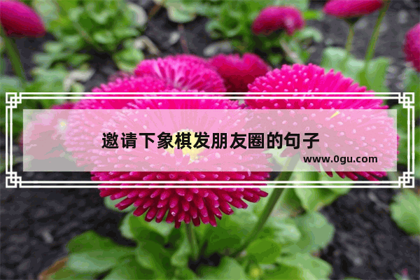 邀请下象棋发朋友圈的句子