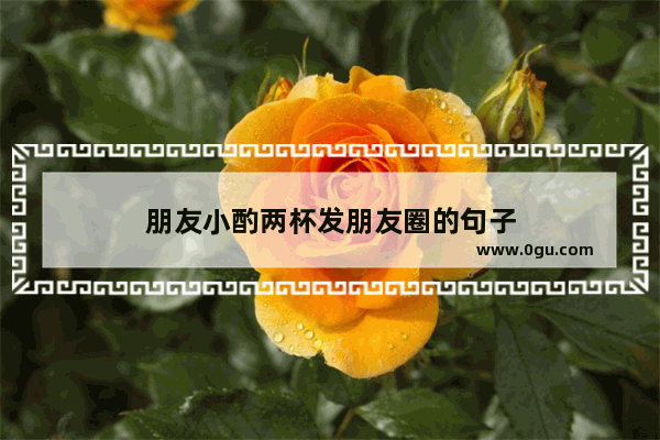 朋友小酌两杯发朋友圈的句子