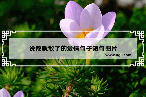 说散就散了的爱情句子短句图片