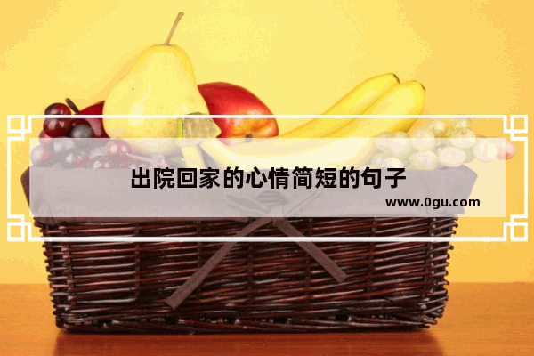 出院回家的心情简短的句子