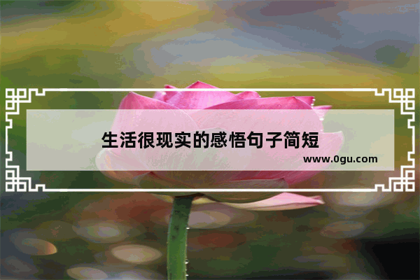 生活很现实的感悟句子简短