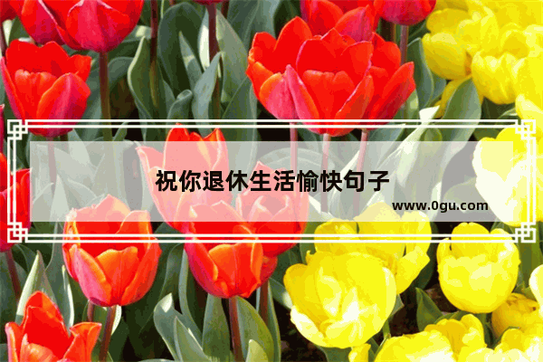 祝你退休生活愉快句子