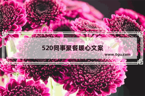 520同事聚餐暖心文案
