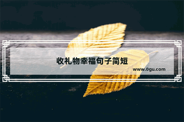 收礼物幸福句子简短