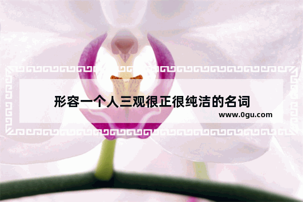 形容一个人三观很正很纯洁的名词