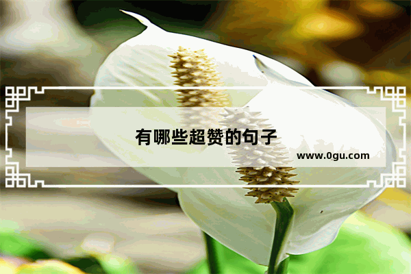 有哪些超赞的句子
