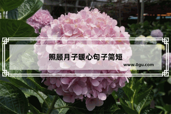 照顾月子暖心句子简短