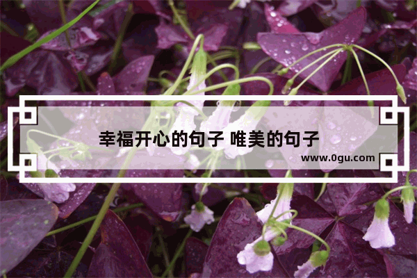 幸福开心的句子 唯美的句子