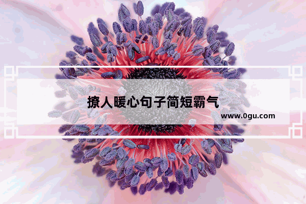 撩人暖心句子简短霸气