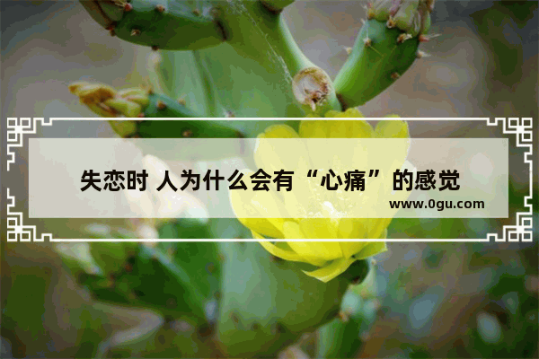 失恋时 人为什么会有“心痛”的感觉