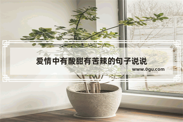 爱情中有酸甜有苦辣的句子说说