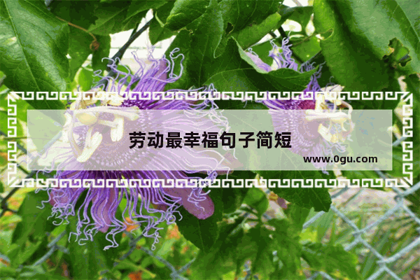 劳动最幸福句子简短