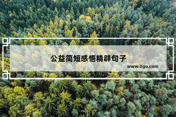 公益简短感悟精辟句子