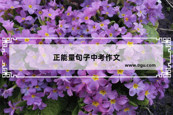 正能量句子中考作文