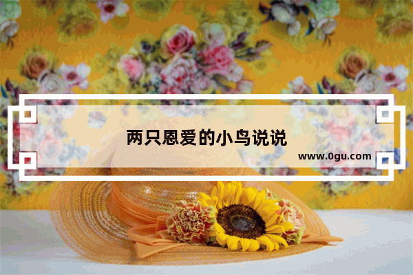 两只恩爱的小鸟说说