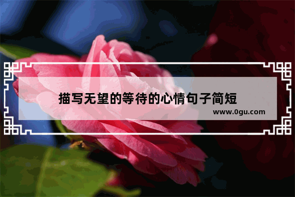 描写无望的等待的心情句子简短