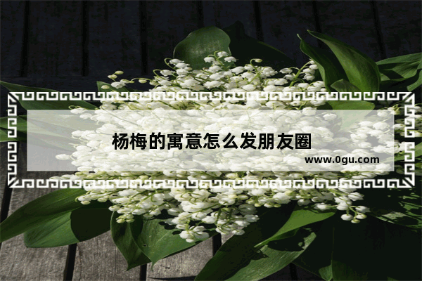 杨梅的寓意怎么发朋友圈