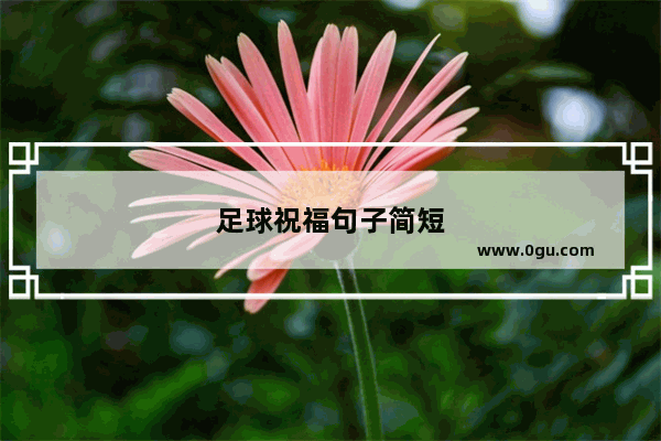 足球祝福句子简短