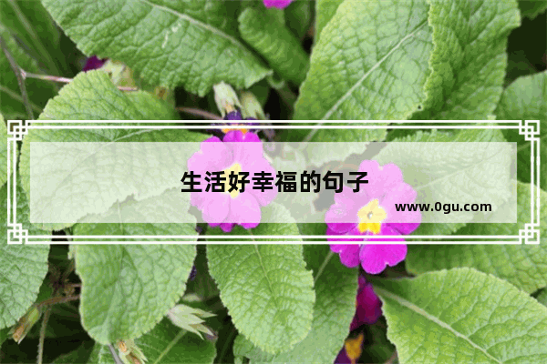 生活好幸福的句子