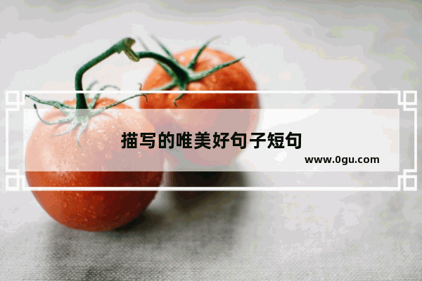 描写的唯美好句子短句