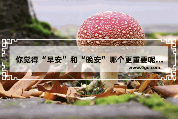 你觉得“早安”和“晚安”哪个更重要呢 为什么