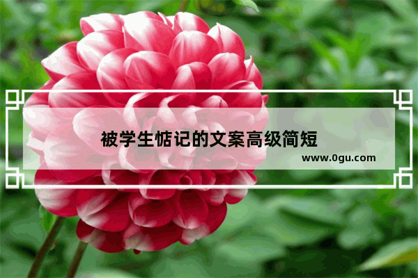 被学生惦记的文案高级简短