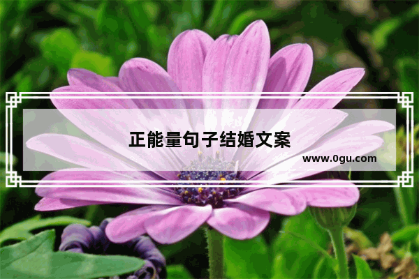 正能量句子结婚文案
