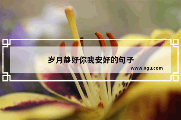 岁月静好你我安好的句子