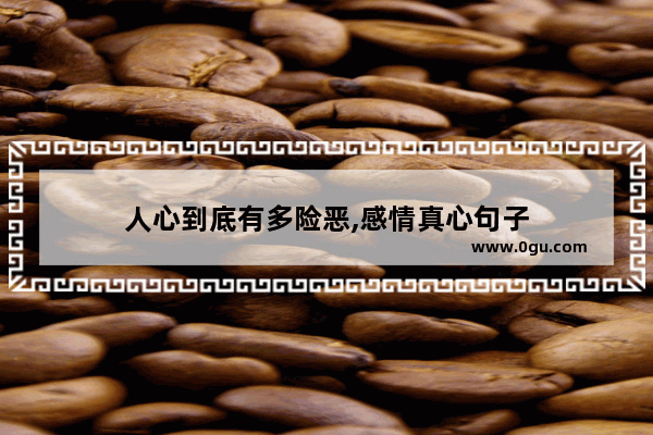 人心到底有多险恶,感情真心句子