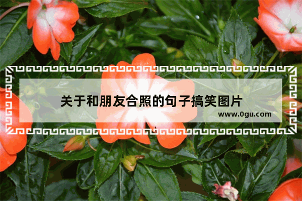 关于和朋友合照的句子搞笑图片