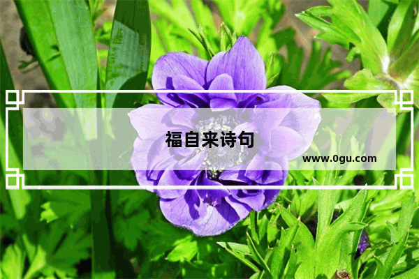 福自来诗句