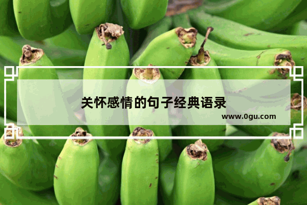 关怀感情的句子经典语录