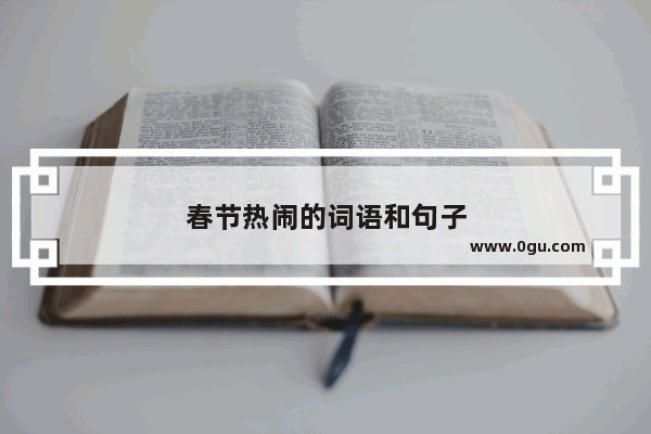 春节热闹的词语和句子