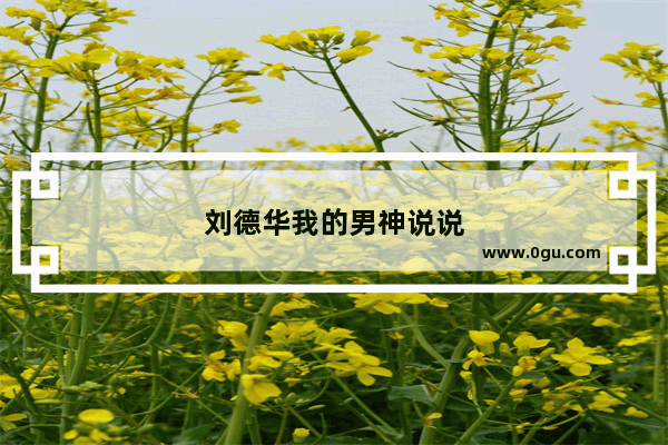 刘德华我的男神说说