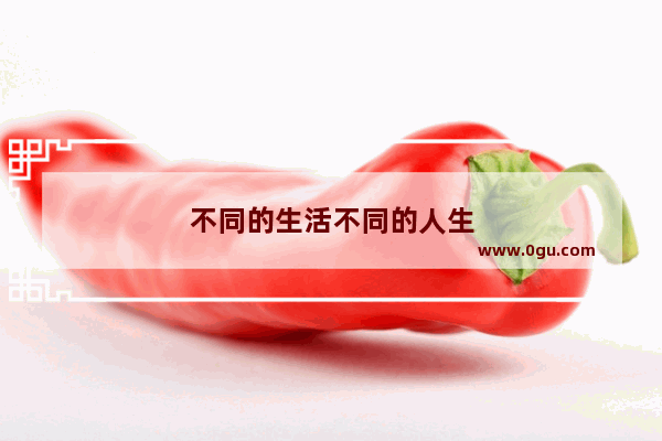 不同的生活不同的人生