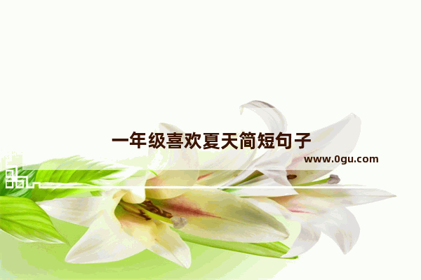一年级喜欢夏天简短句子