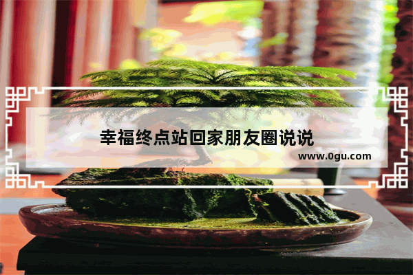 幸福终点站回家朋友圈说说