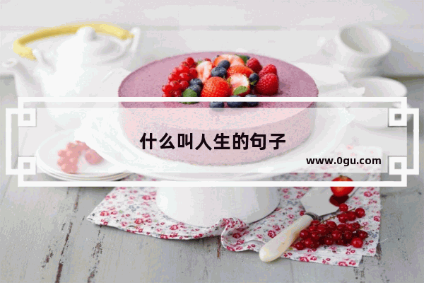 什么叫人生的句子