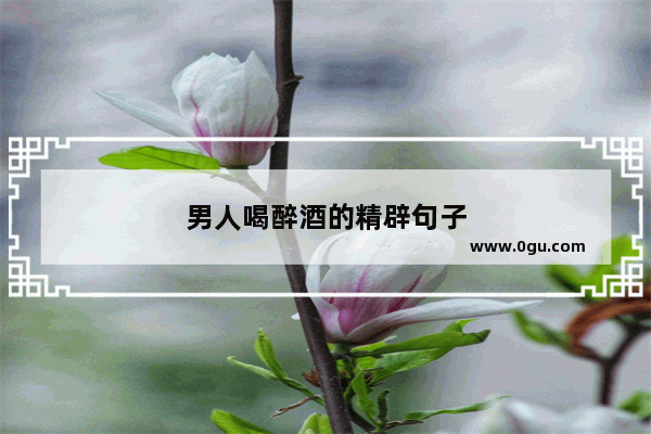 男人喝醉酒的精辟句子