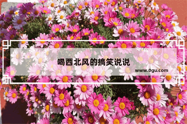 喝西北风的搞笑说说