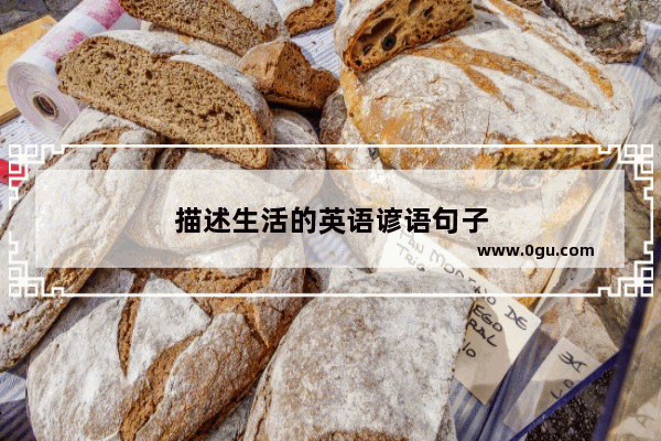 描述生活的英语谚语句子