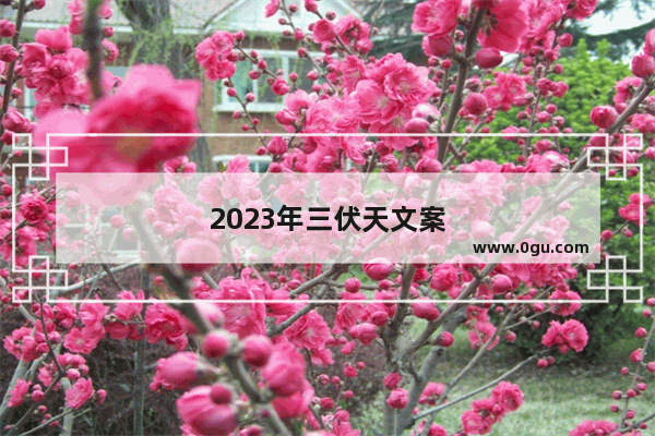2023年三伏天文案