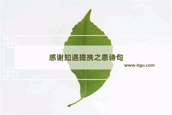 感谢知遇提携之恩诗句