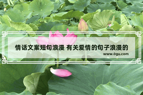 情话文案短句浪漫 有关爱情的句子浪漫的