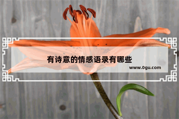 有诗意的情感语录有哪些