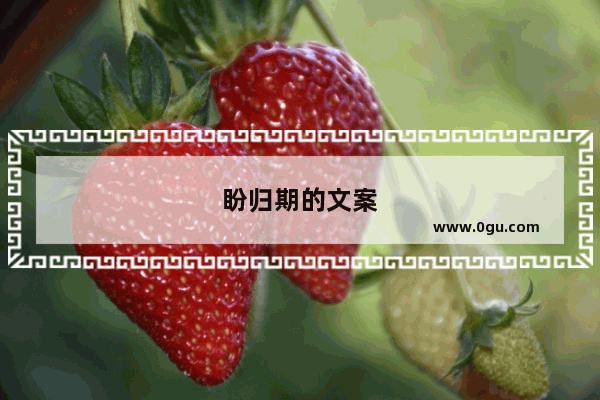 盼归期的文案