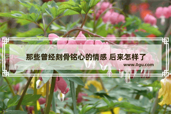 那些曾经刻骨铭心的情感 后来怎样了