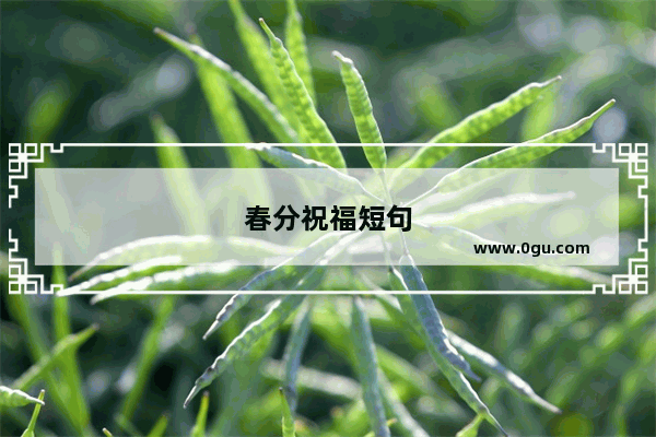 春分祝福短句